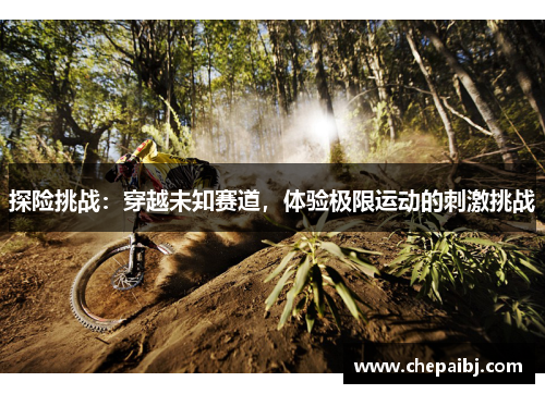 探险挑战：穿越未知赛道，体验极限运动的刺激挑战